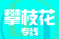 厦门到攀枝花整车货运专线,厦门到攀枝花整车物流运输2